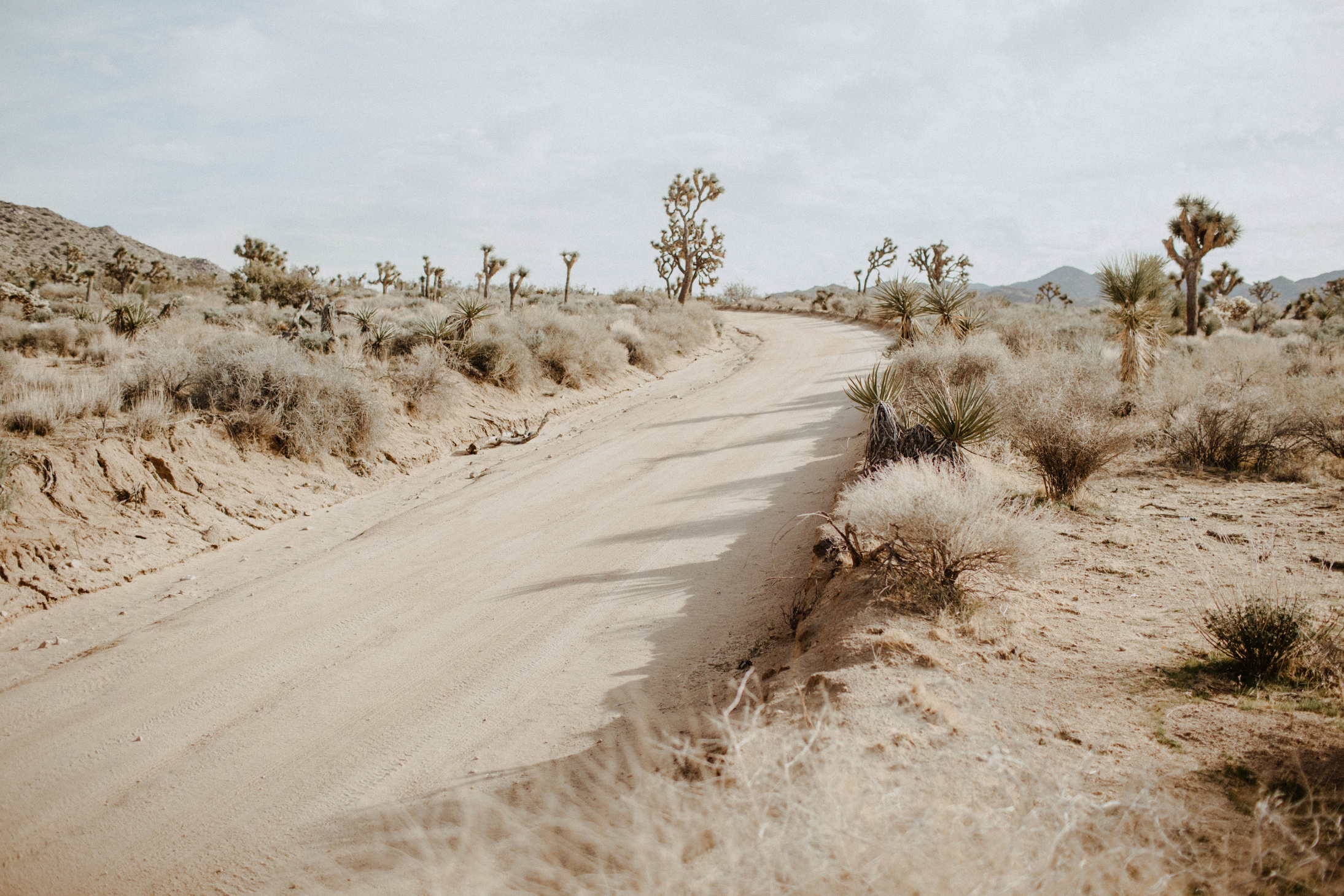 Road In The Desert